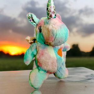 PELUCHE CON TIRANTES TIPO MOCHILA, DE DIVERSOS DISEÑOS KAWAI, Y COLORES VIVOS, PIDE YA ESTA DISPONIBLE A ESTE SUPER PRECIO