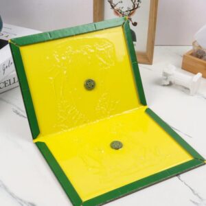 TRAMPA PEGARATA, GENERICO, EXTRAFUERTE, CAJON DE 100 UNIDADES, PRECIO OFERTA DEL CAJON DE 100 UNIDADES